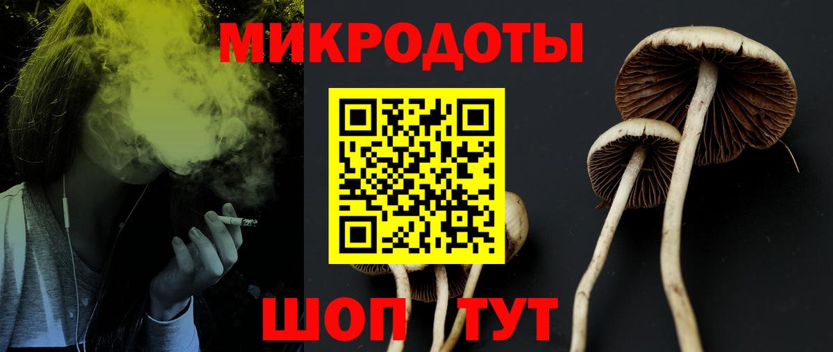 Псилоцибиновые грибы Cubensis  Псилоцибиновые грибы Psilocybine cubensis  Анжеро-Судженск  Вход с VPN 